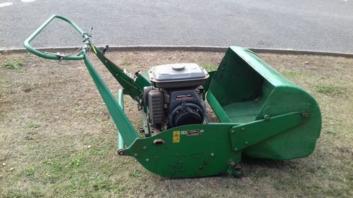 Ransomes mastiff - mastiff, 36